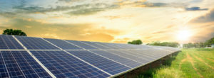 A grid of solar panels during a sunset.